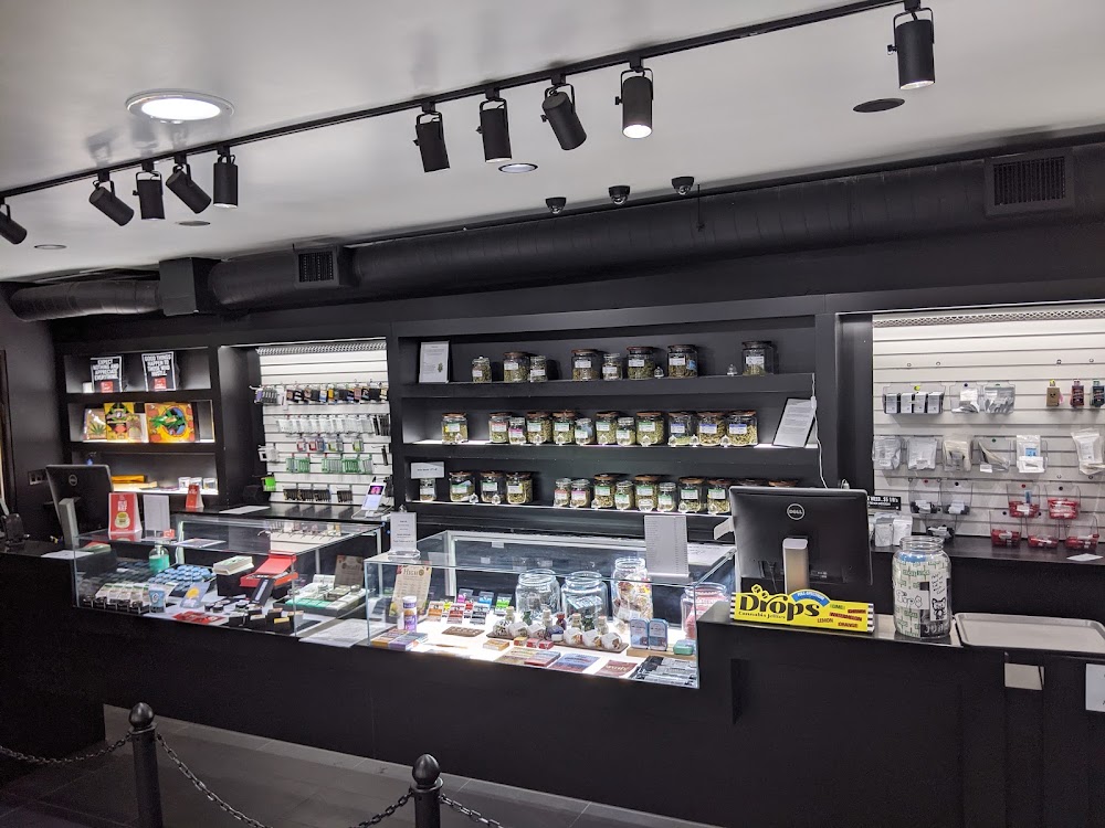 The New Amsterdam photo 8