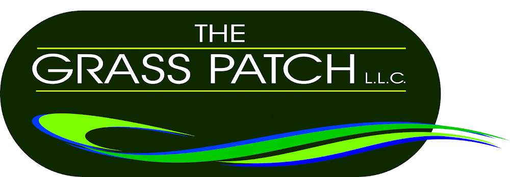 The Patch photo 1