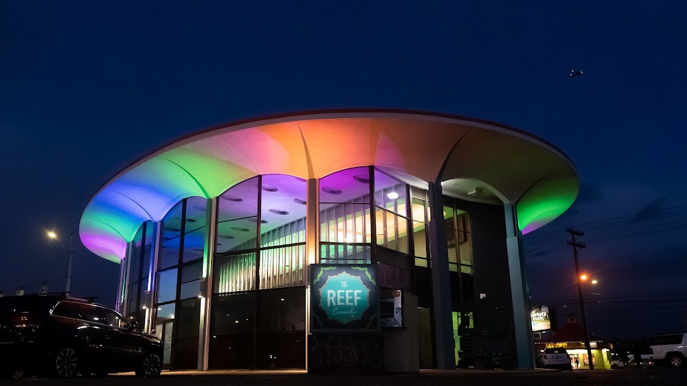 The Reef photo 2