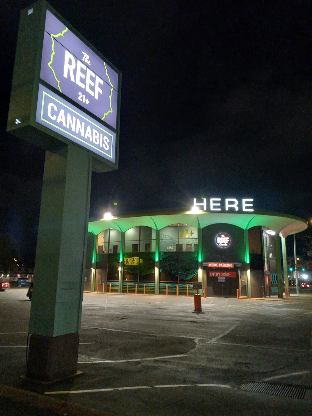 The Reef photo 8
