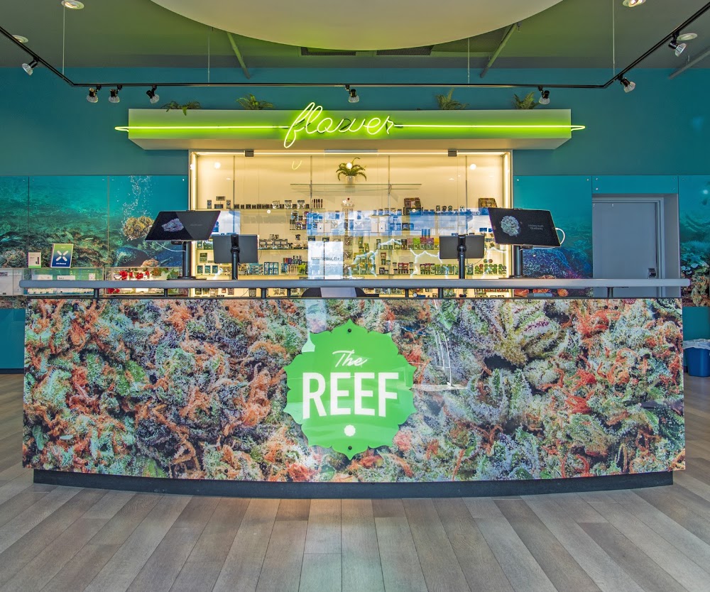 The Reef photo 2