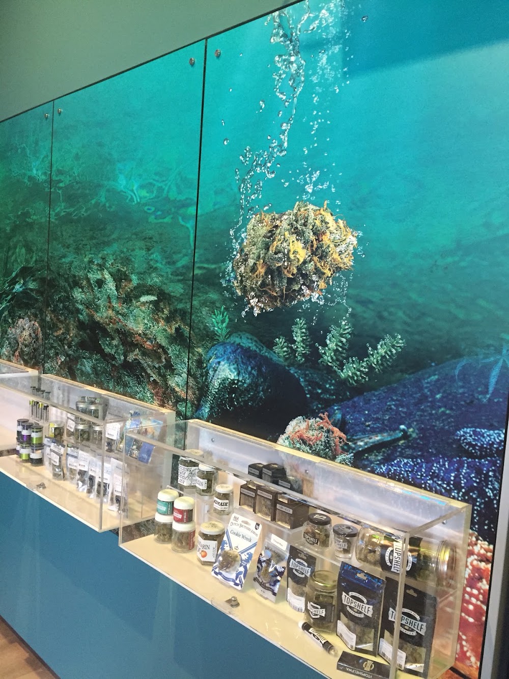 The Reef photo 4