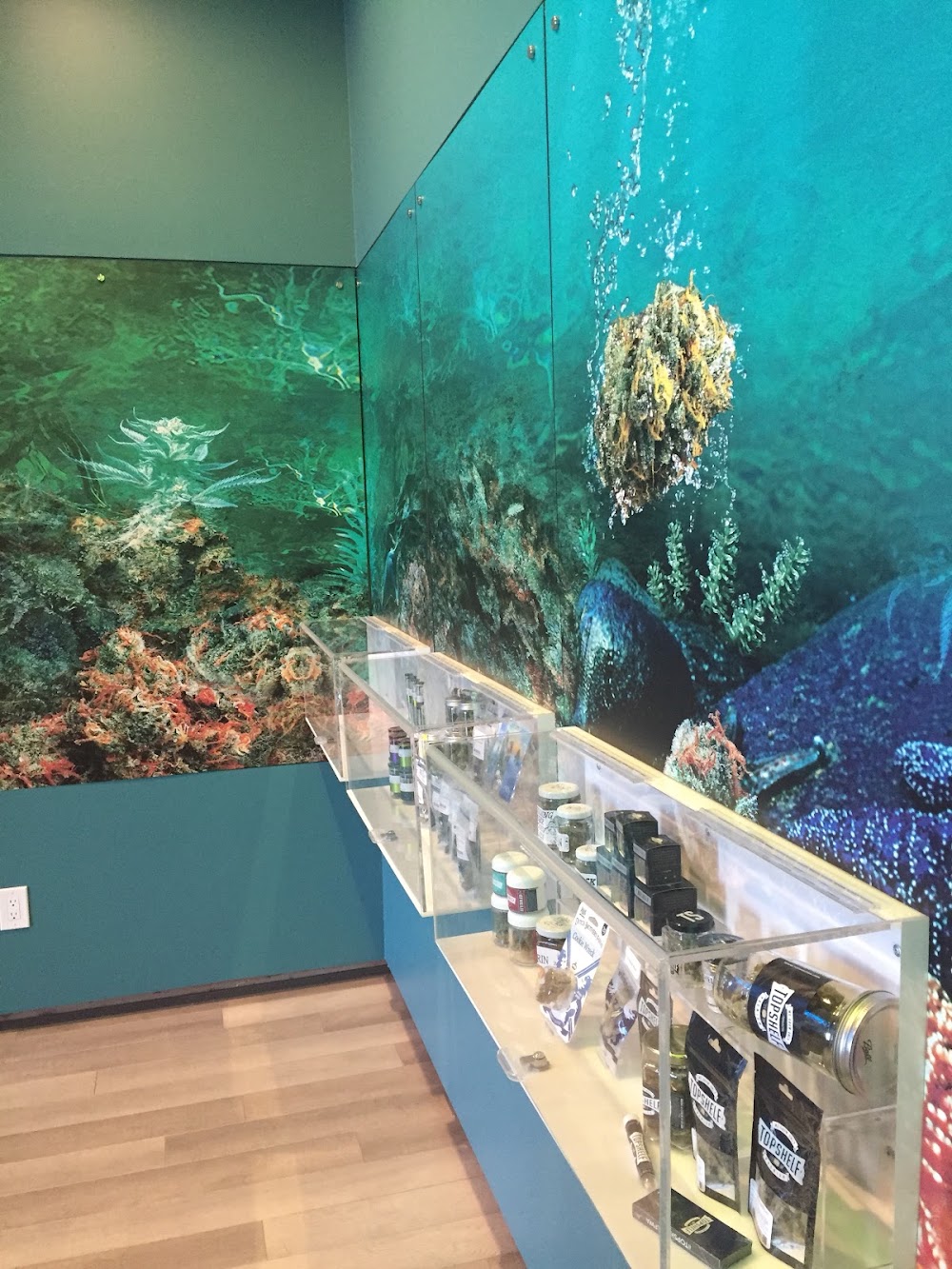 The Reef photo 7