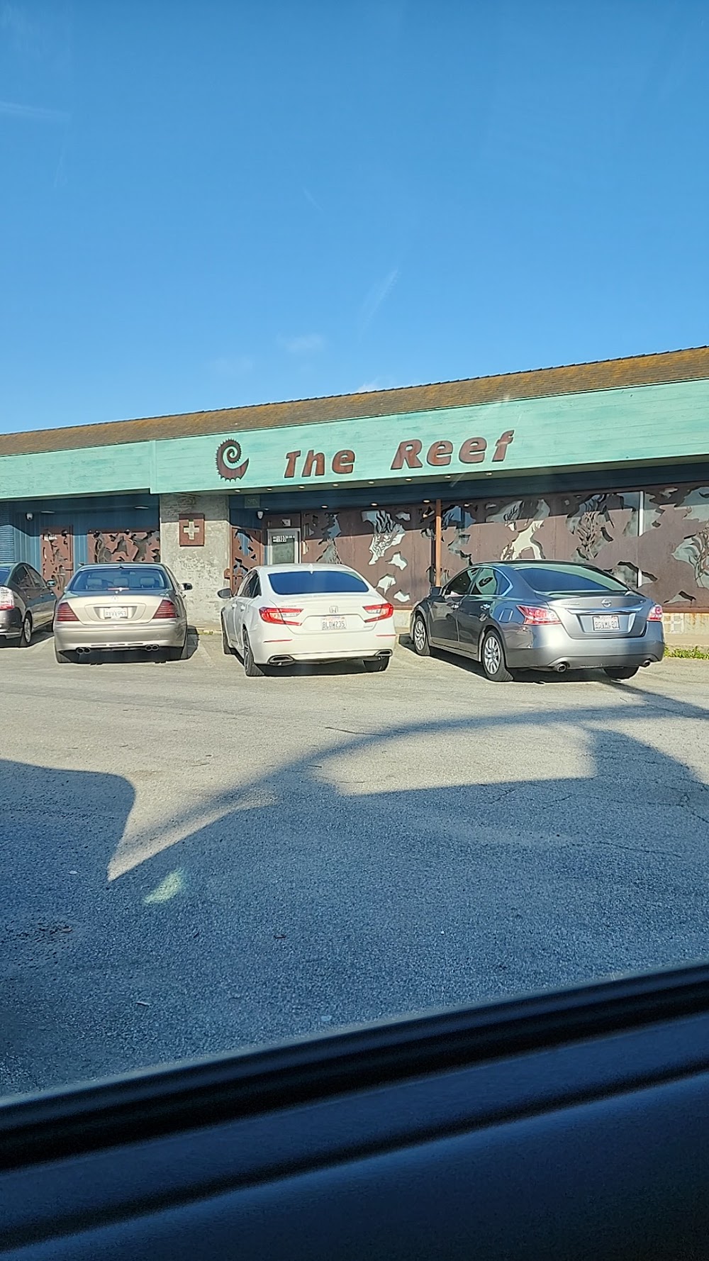 The Reef photo 1