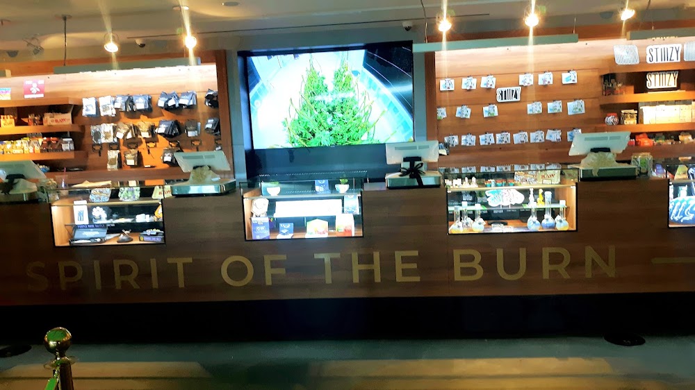 The Sanctuary - #1 Cannabis Dispensary In Las Vegas photo 5