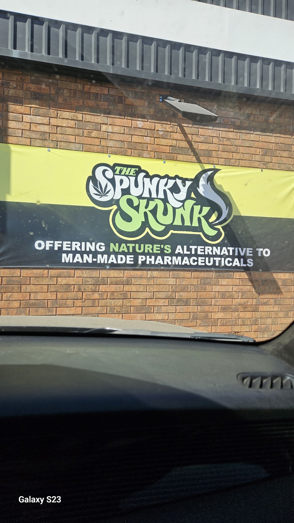 The Spunky Skunk photo 1