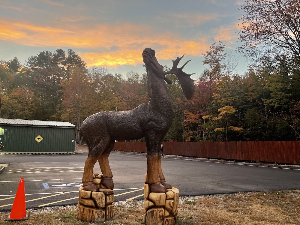 The Stoned Moose photo 6
