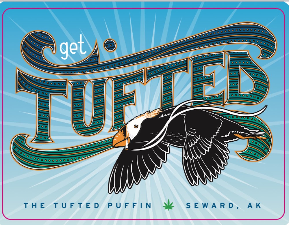 The Tufted Puffin photo 4