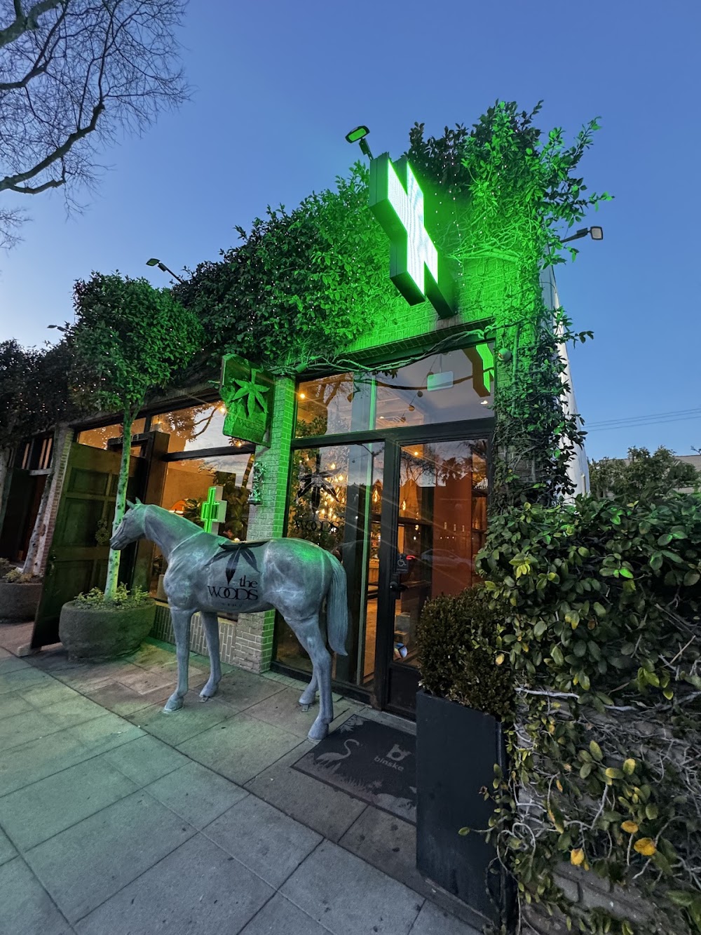 The Woods Weho photo 1