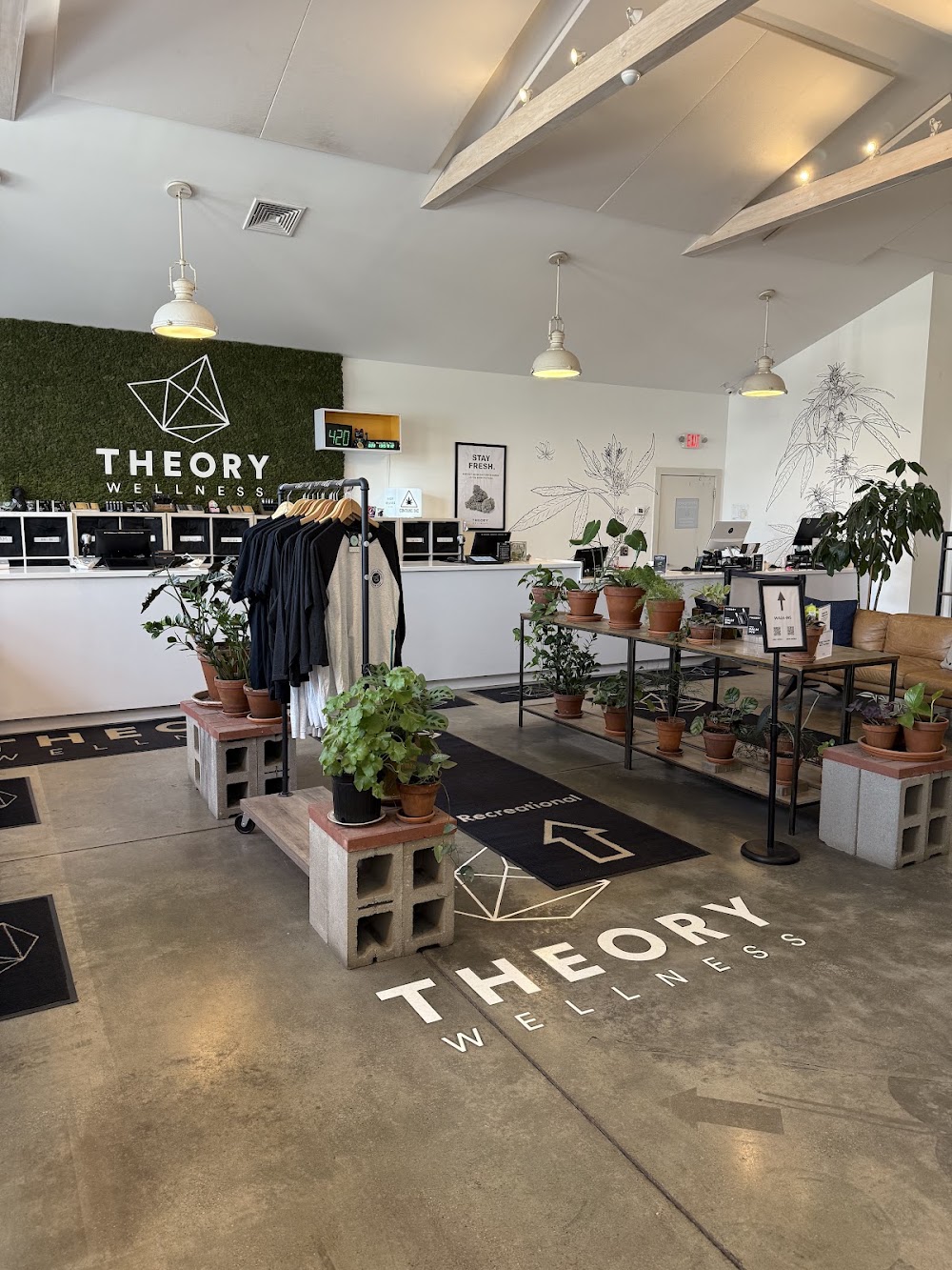 Theory Wellness photo 3