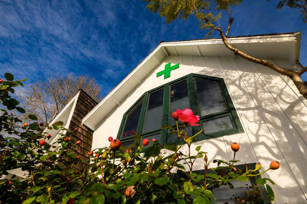 Therapeutic Healthcare Collective photo 2