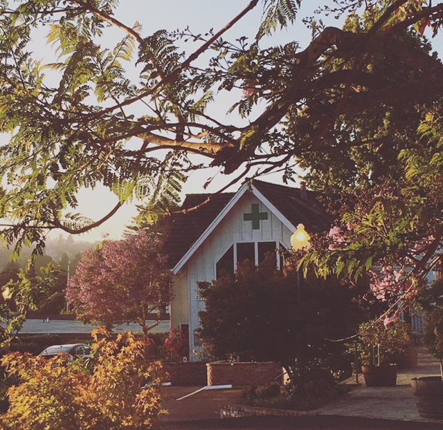 Therapeutic Healthcare Collective photo 5