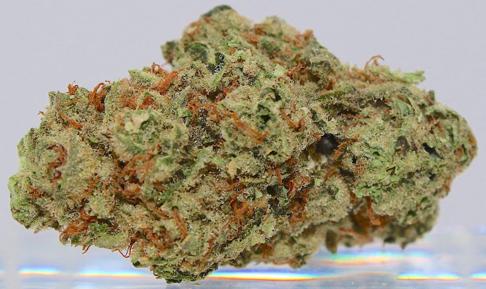 Three Rivers Dispensary photo 4