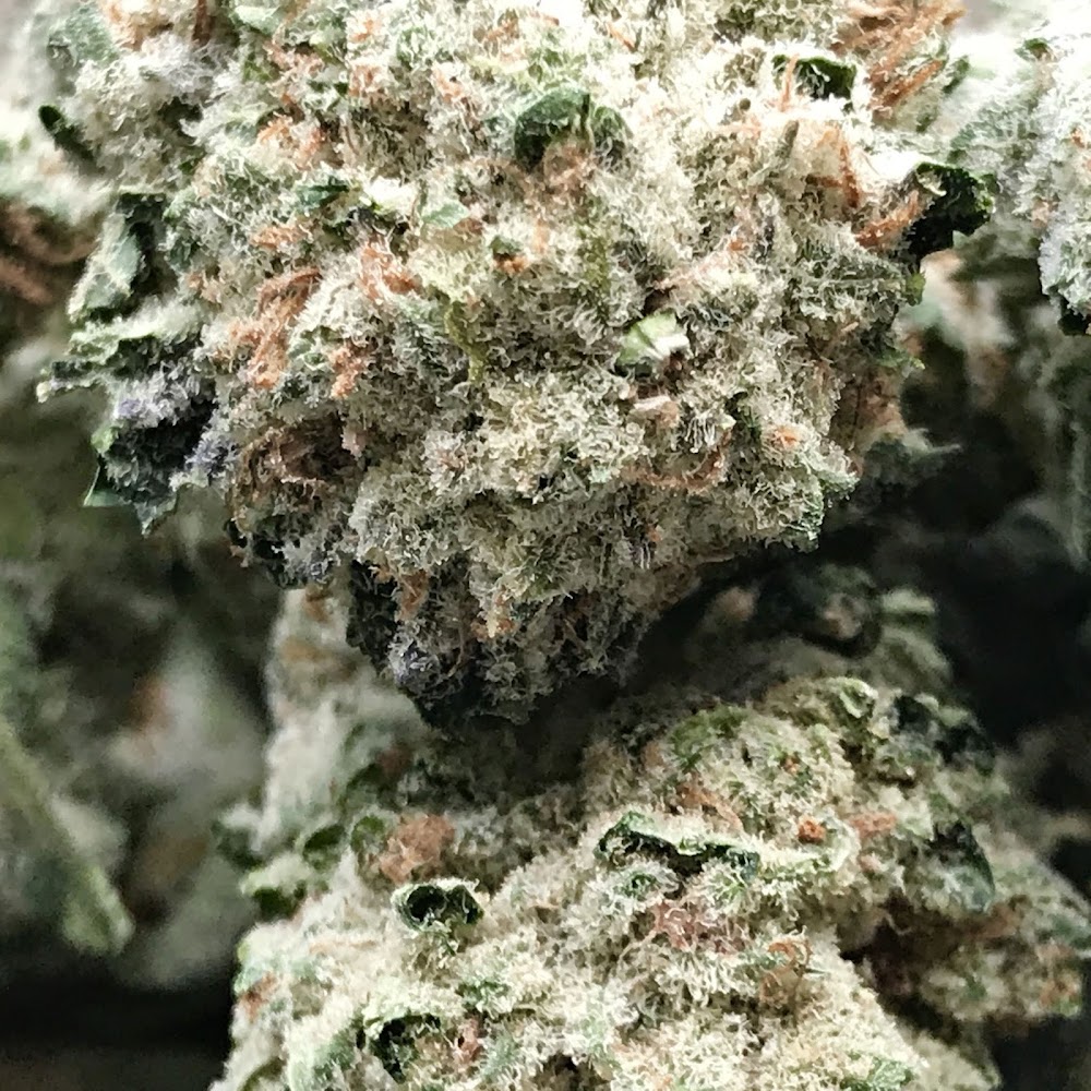 Three Rivers Dispensary photo 8