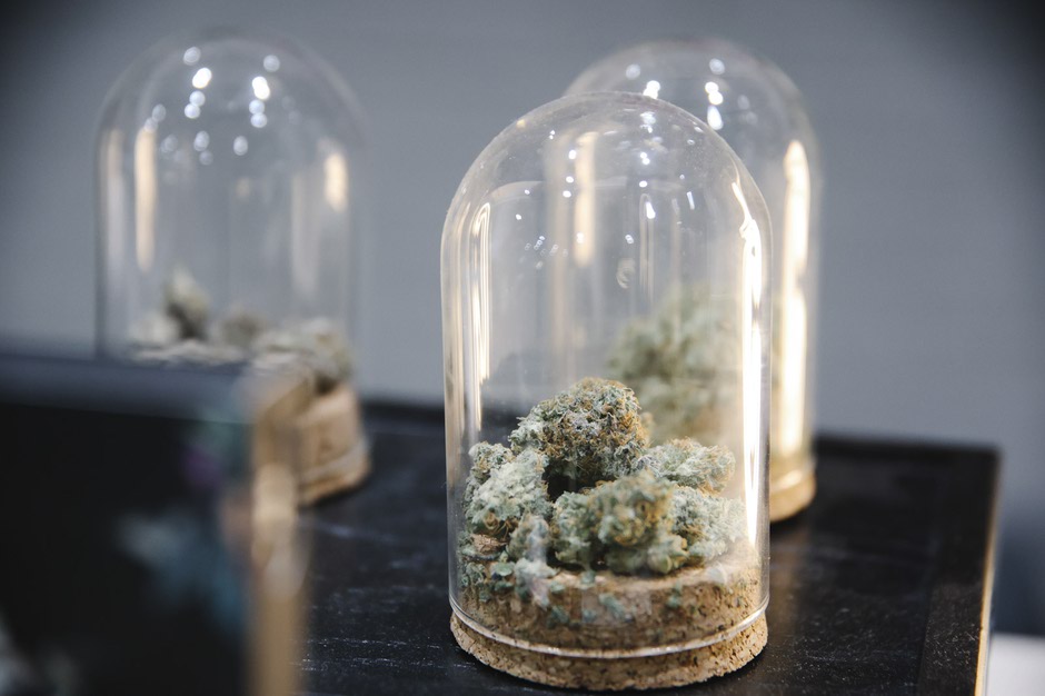 Thrive Cannabis Marketplace - Las Vegas Strip Dispensary photo 4