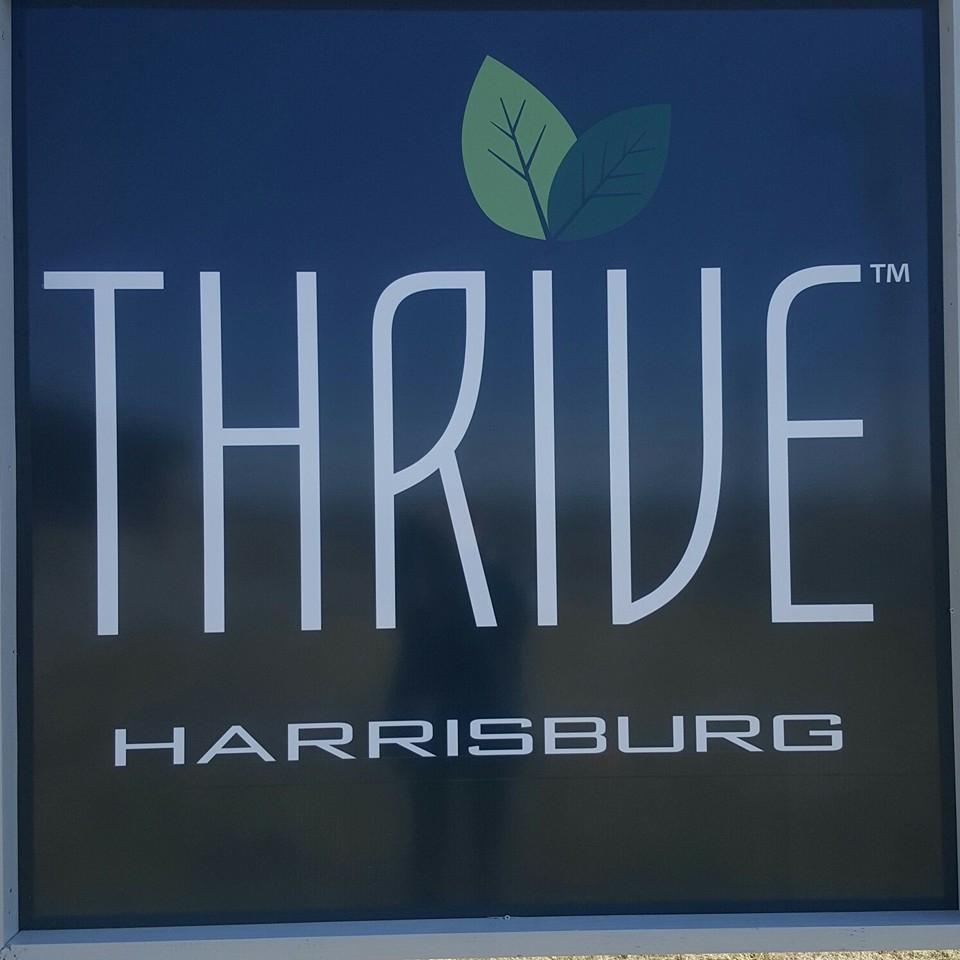 Thrive photo 7