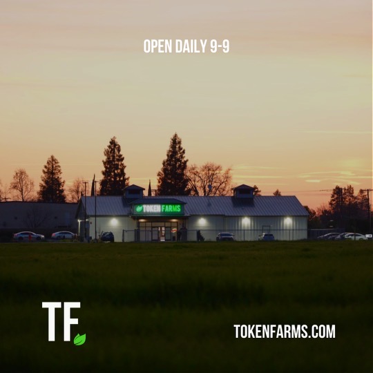 Token Farms photo 8