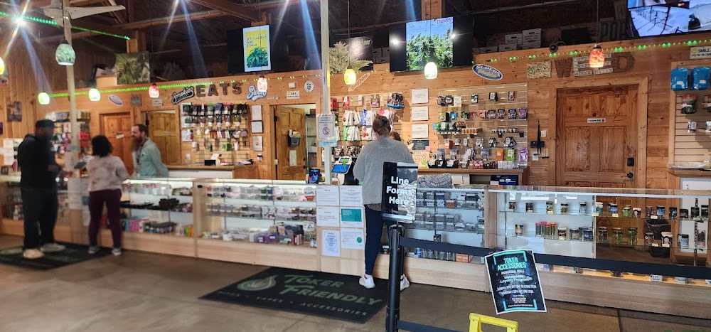 Toker Friendly photo 2