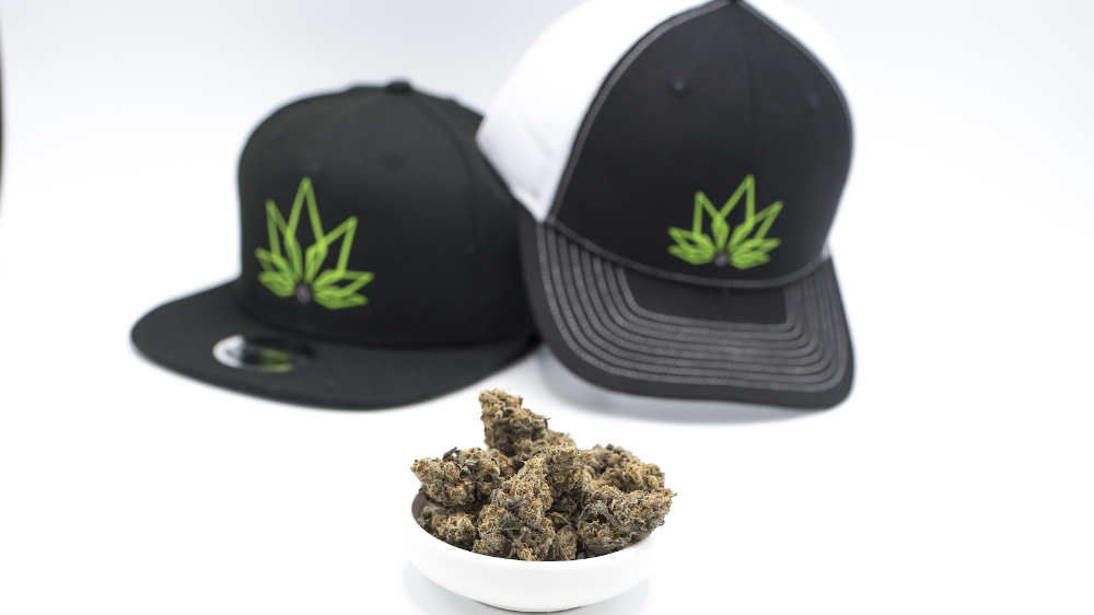 Top Crop Cannabis photo 2