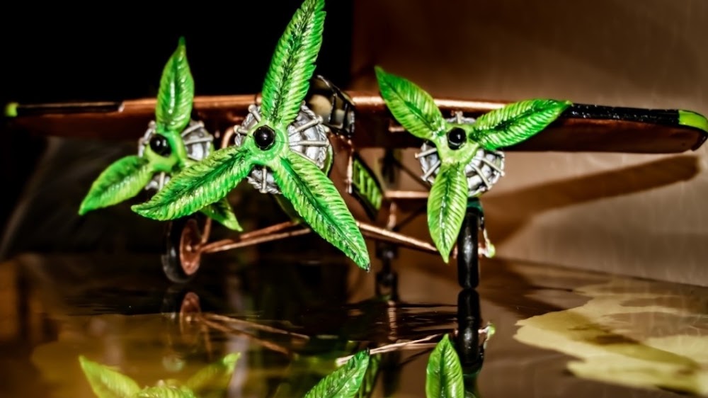 Top Shelf Wellness Center photo 2