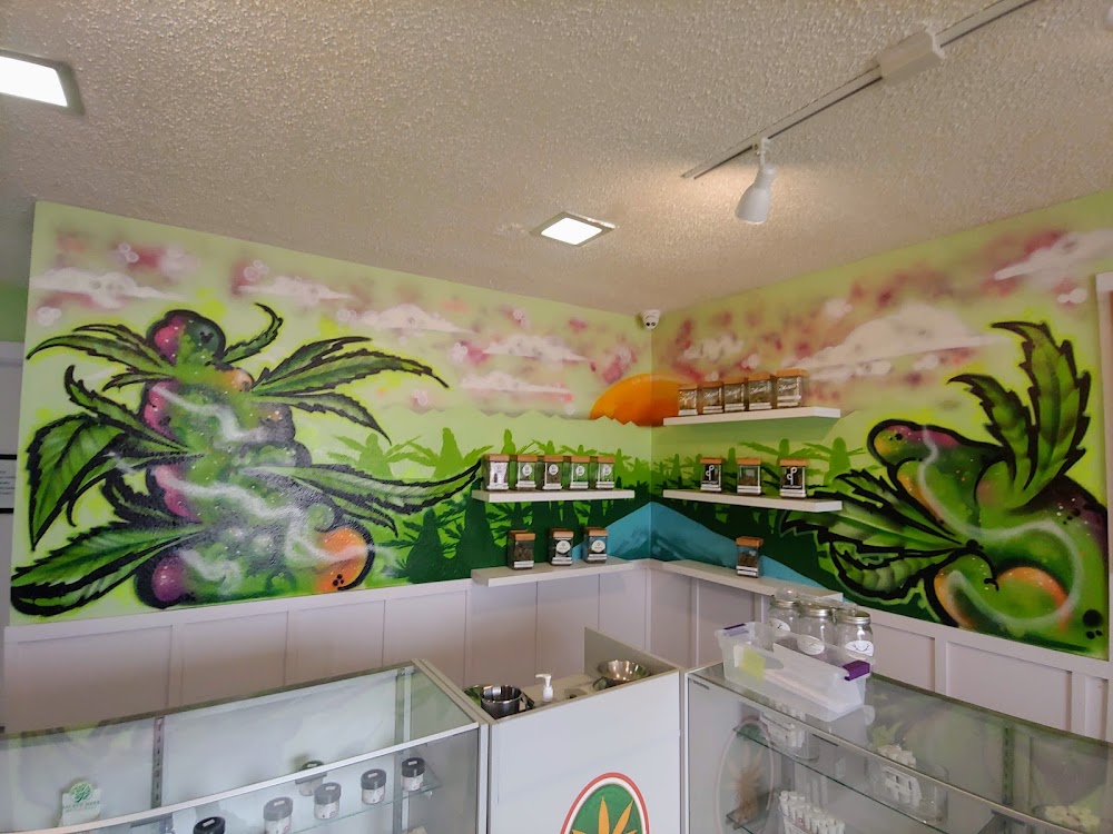 Touch Of Aloha photo 1
