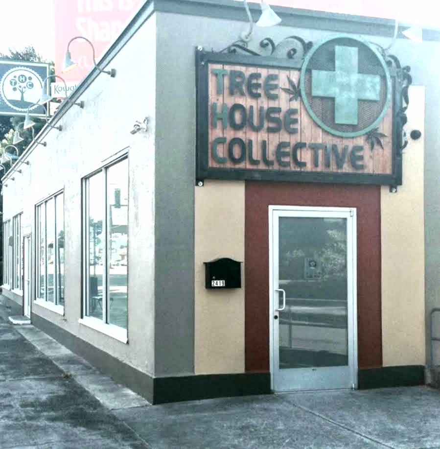 Tree House Collective photo 7