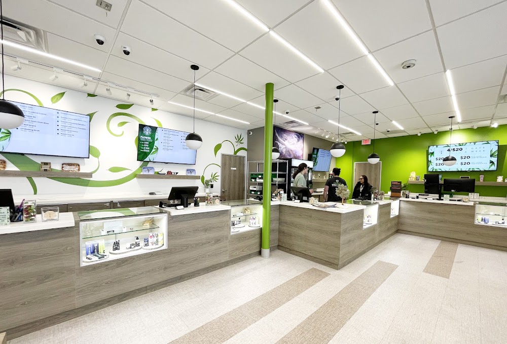 Tree Of Life Weed Dispensary Las Vegas photo 2