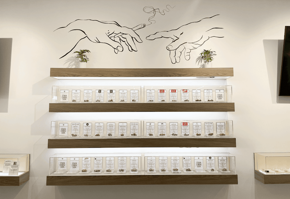 Tree Of Life Weed Dispensary Las Vegas photo 3