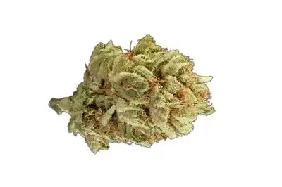 Tree Of Life Weed Dispensary Las Vegas photo 6