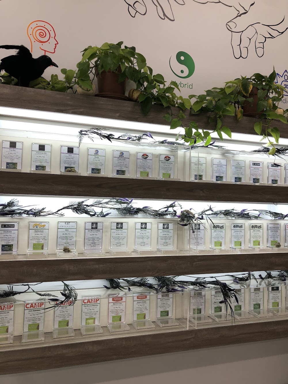 Tree Of Life Weed Dispensary North Las Vegas photo 3