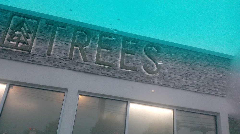 Trees photo 4