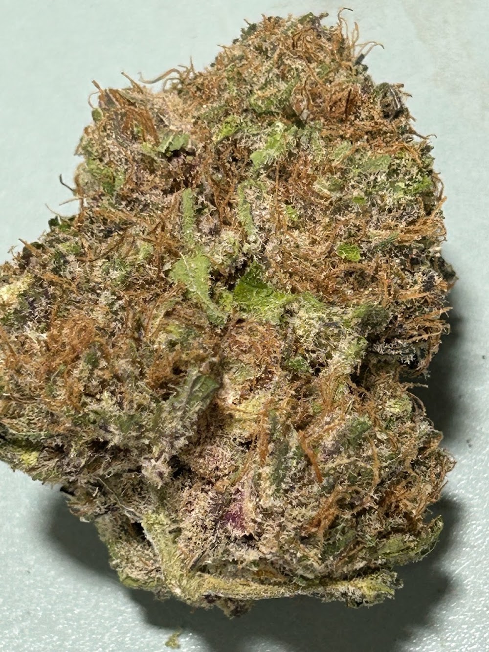 Trichome Health Consultants photo 2