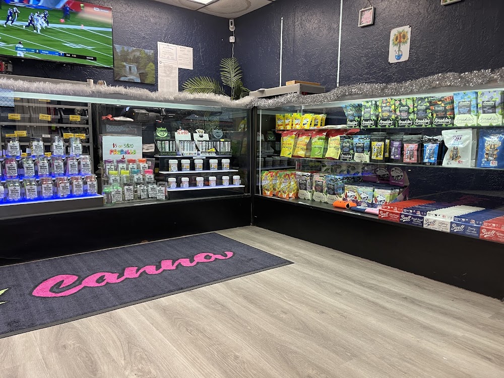 Tropic Canna West photo 7