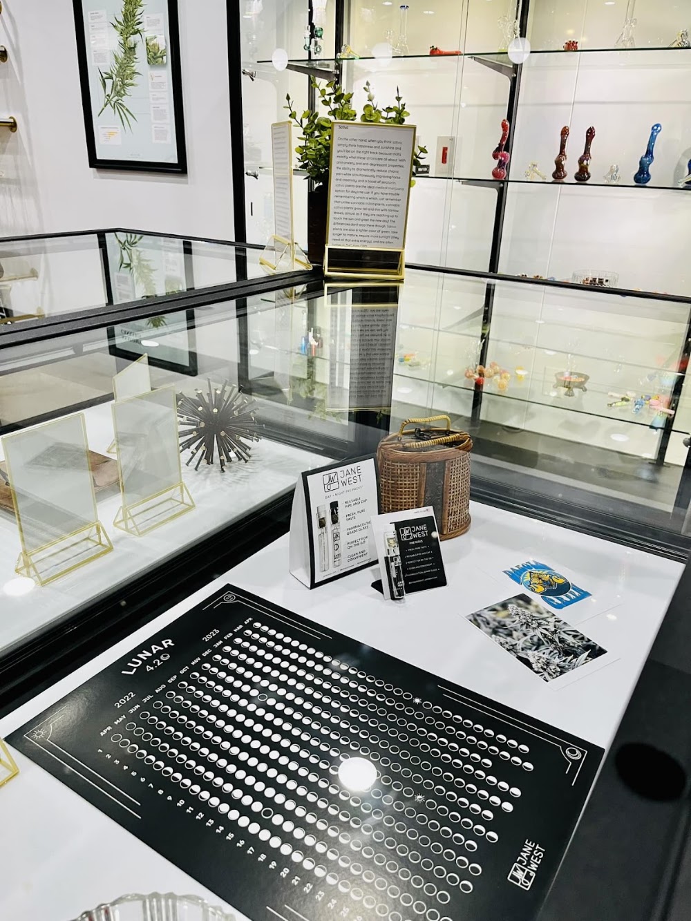 True North Dispensary photo 2