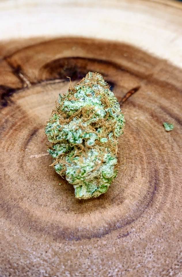 True North Dispensary photo 4