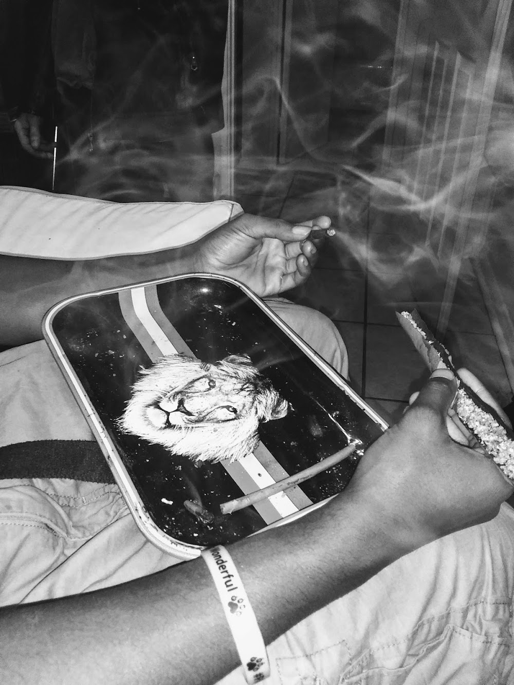 Trulieve photo 4