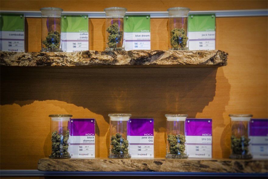 Trumed Dispensary photo 7