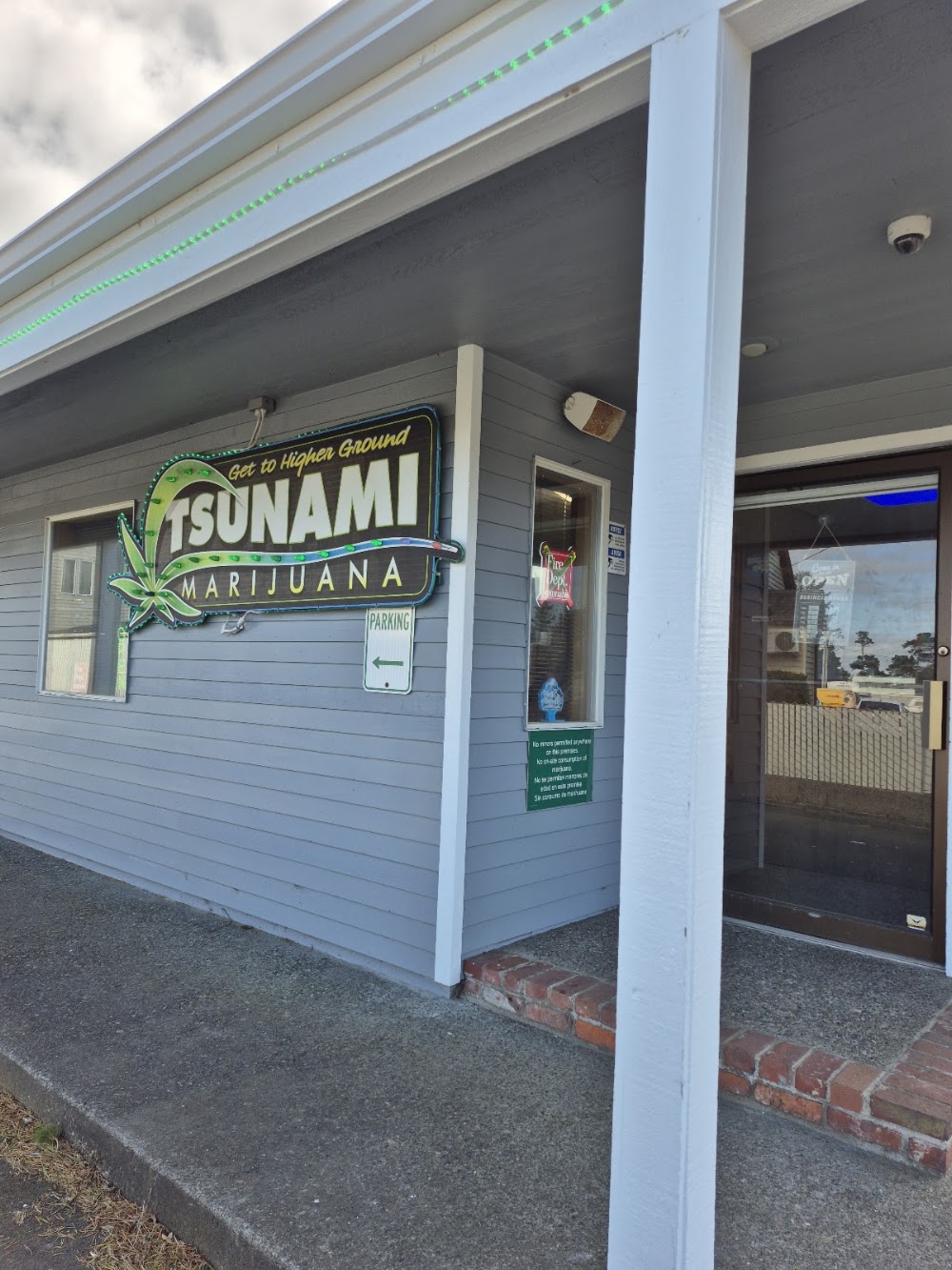 Tsunami Marijuana photo 1