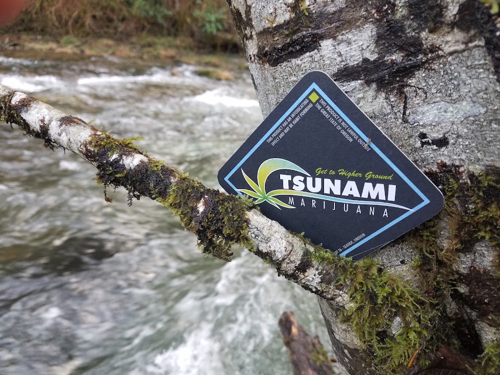 Tsunami Marijuana photo 6