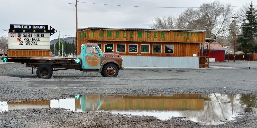 Tumbleweed Cannabis CO. photo 3