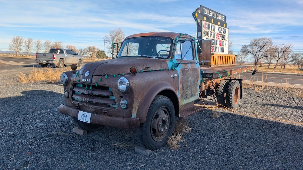 Tumbleweed Cannabis CO. photo 6
