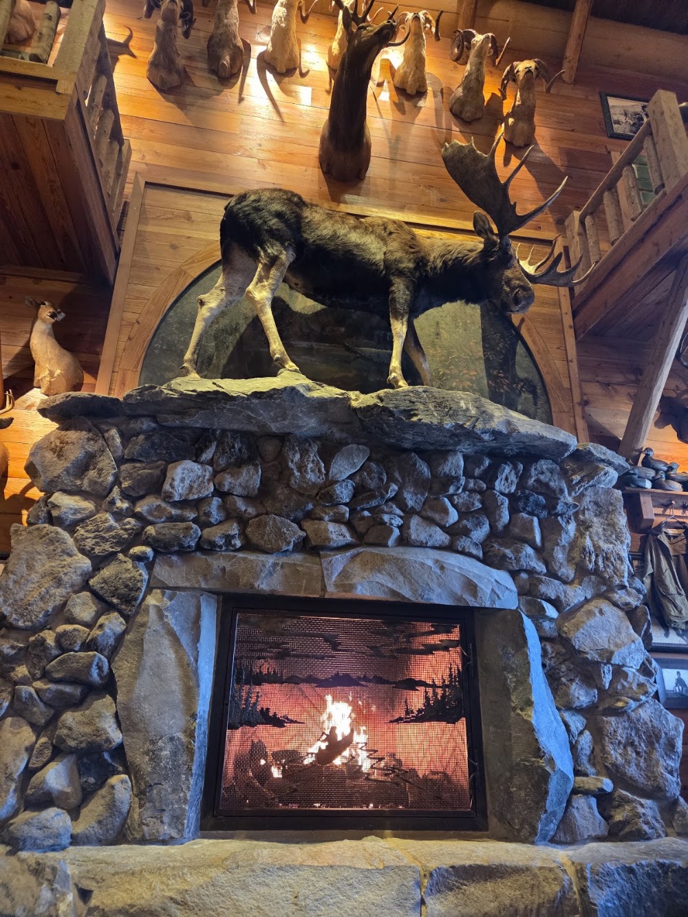 Twenty After Four Wellness Center photo 8