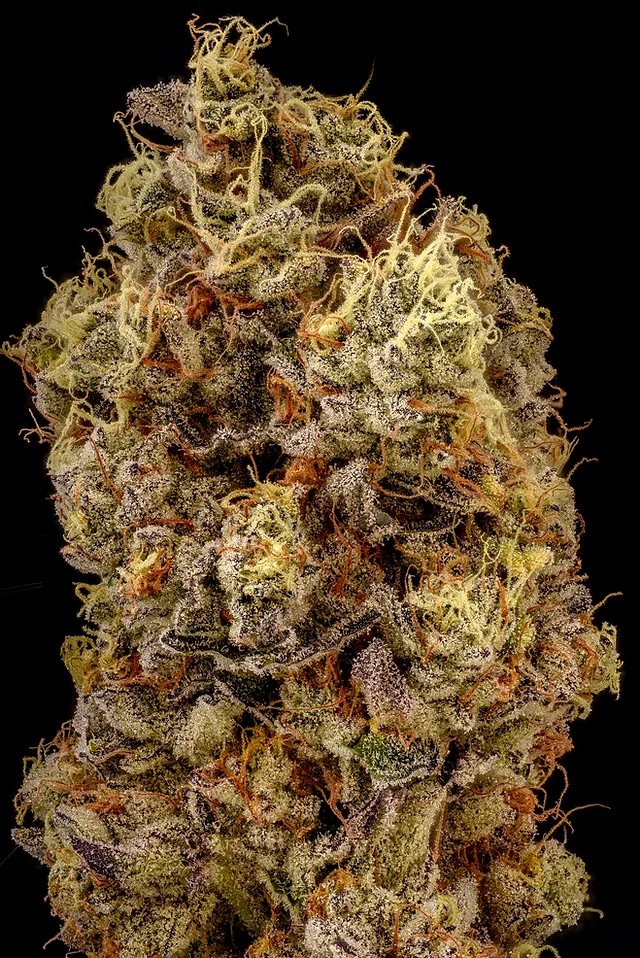 Unique Cultivations photo 4