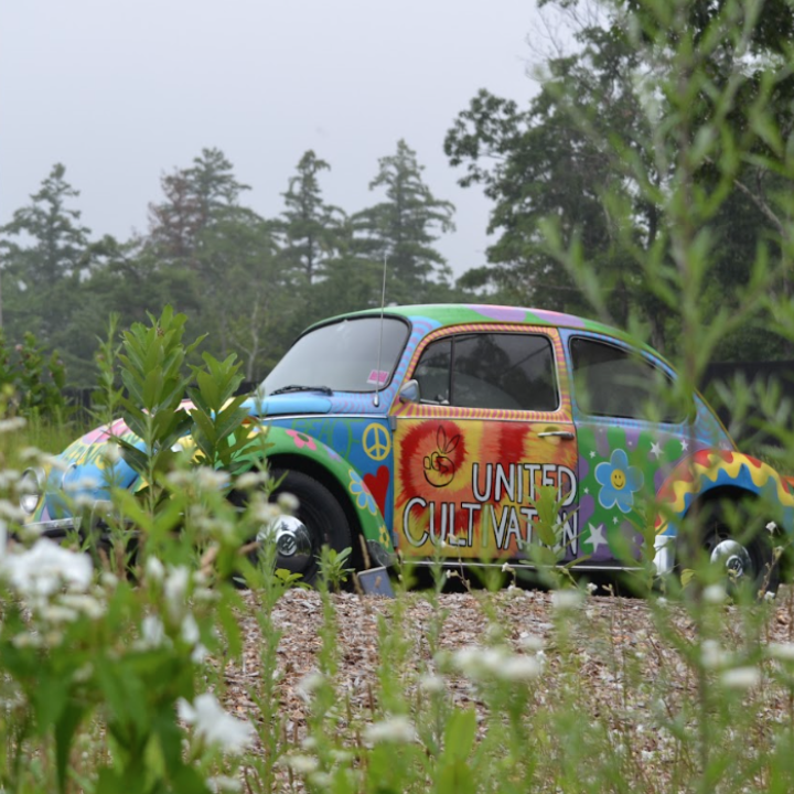 United Cultivation photo 7