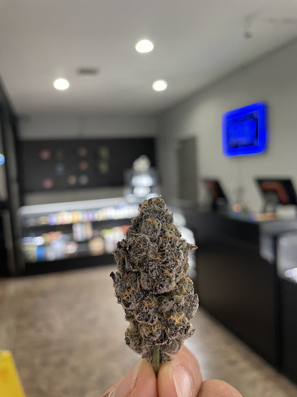 United Growers photo 4