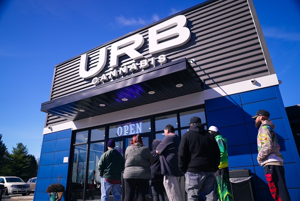 Urb Cannabis photo 4