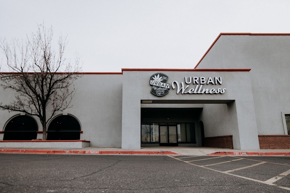 Urban Wellness - Academy photo 7