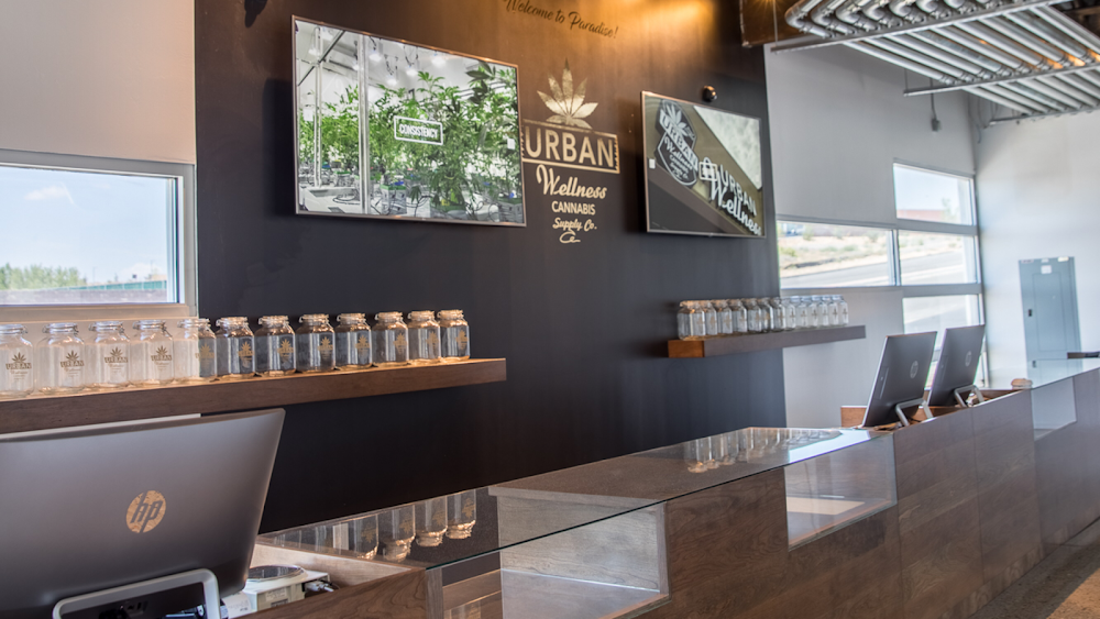 Urban Wellness - Paradise photo 7