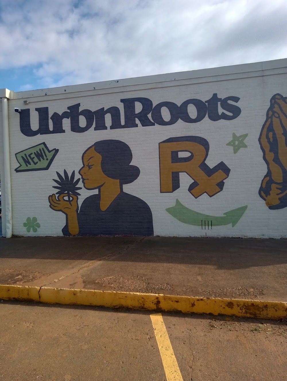 Urbn Roots - South photo 6