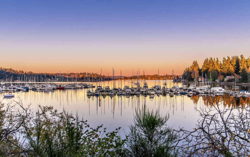 Vashon Times photo 7